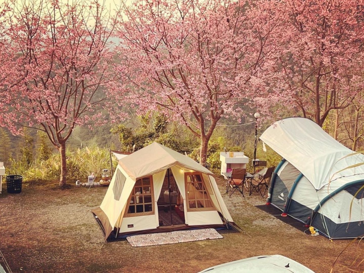 櫻花露營區推薦-司馬限360度景觀露營區1