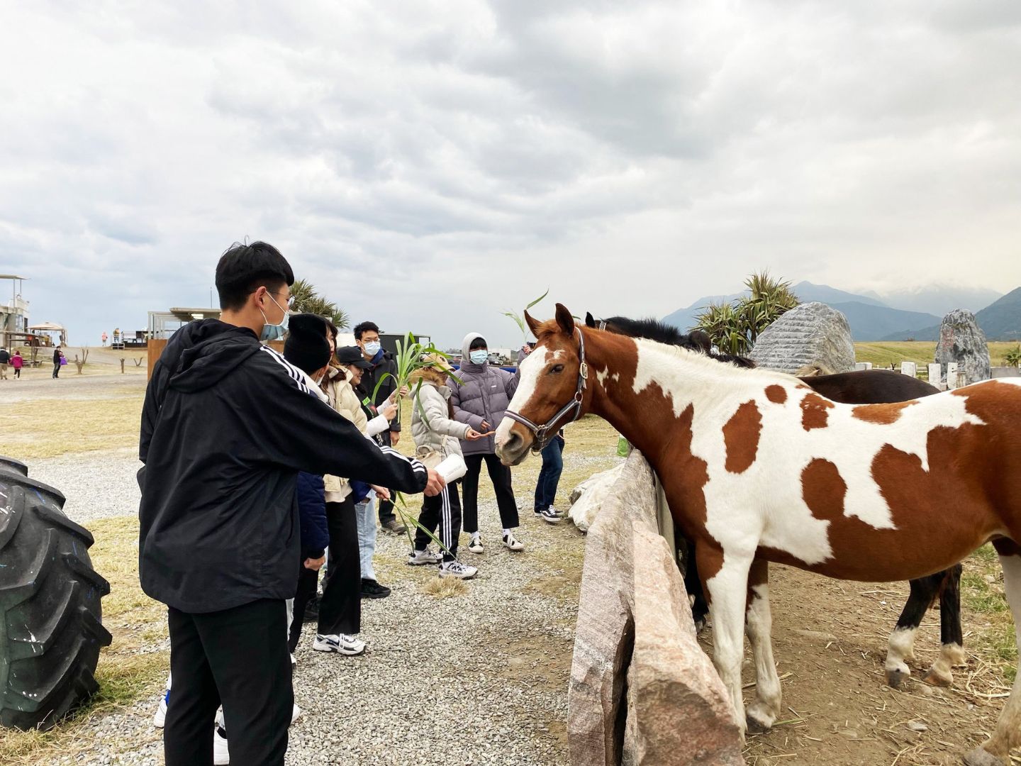 平地露營區推薦 崇霖覓境露營車1