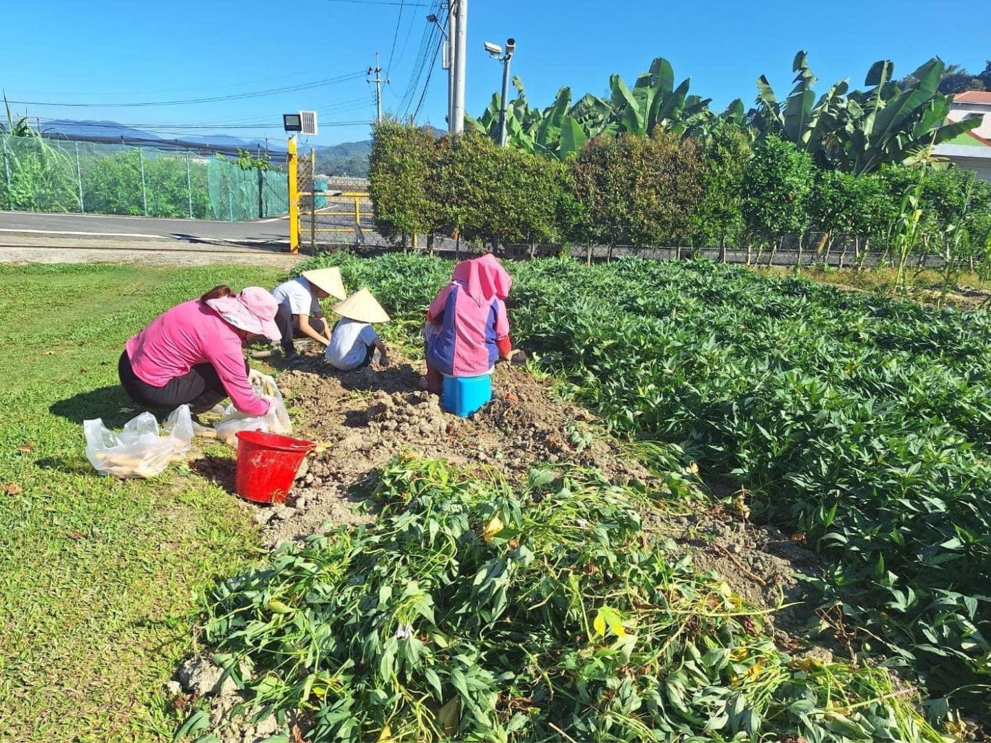 平地露營區推薦 稻美濃生態農場1