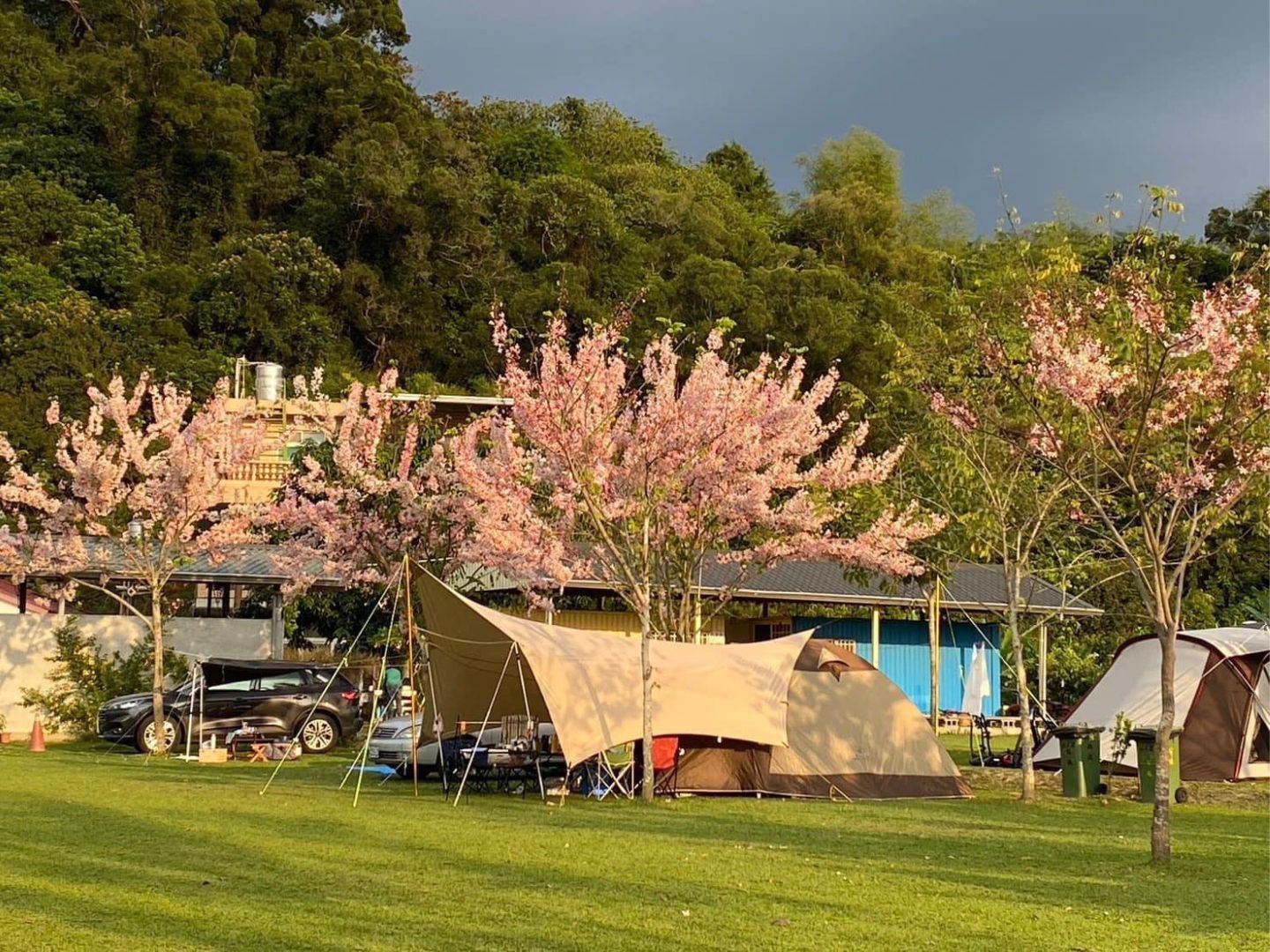 平地露營區推薦 稻美濃生態農場2