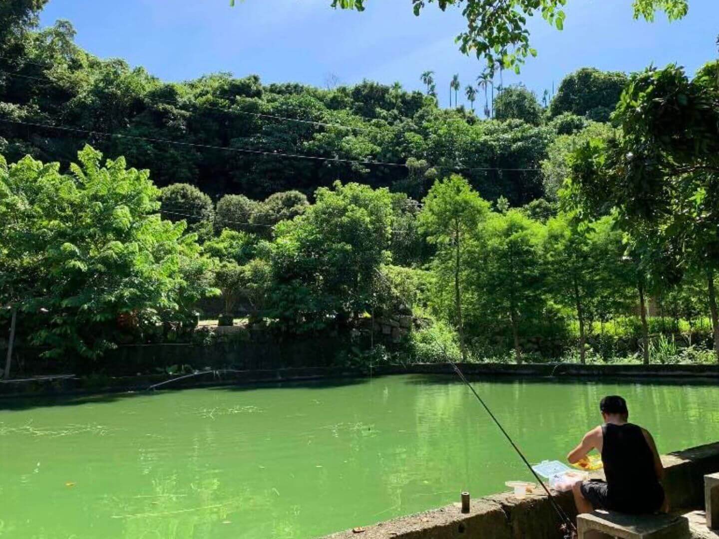 釣魚露營 漾嵐山庄1