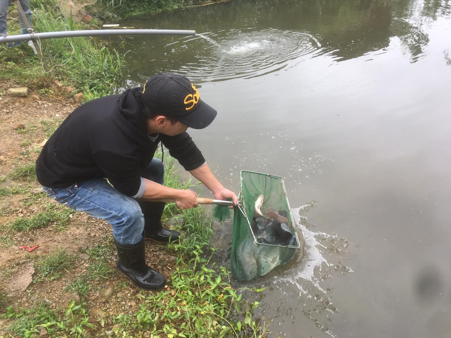 釣魚露營 田螺屋清新露營區1